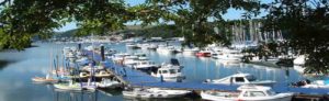 River Dart Moorings